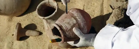 1666157432258489.jpg 未標題-1.jpg